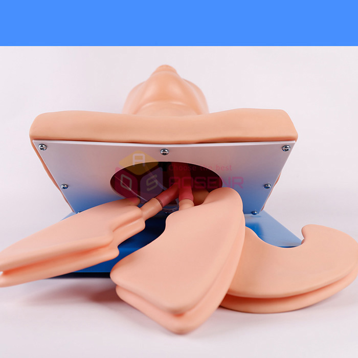 https://www.aosenr.com/aplus/sku/0950x/6.jpg